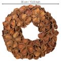 Kuivattu lootusseppele, koristeellinen oviseppele, 35cm | Floristik24.fi
