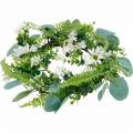 Floristik24 Keinotekoinen eukalyptus seppele saniaisella, Cape päivänkakkaroilla ja jasmiinilla, oviseppele, koristeellinen seppele, pöydän koristeeksi.