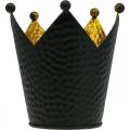 Floristik24 Kynttilänjalka kruunu musta kulta metallikoristeet H11cm