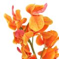 Floristik24 Keinotekoinen orkidea Mokara Orange 50cm 6kpl