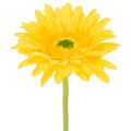 Floristik24 Keinotekoiset Gerbera-kukat, Aurinkokeltaiset, Puutarhakukka, 47 cm, 6 kpl