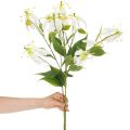 Tekokukka Gloriosa, valkoinen ja keltainen, elegantti kukkiva oksa koristeeksi, 80 cm, 3 kpl | Floristik24.fi