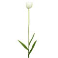 Floristik24 Keinotekoiset tulppaanit valkoinen-vihreä 86cm 3kpl
