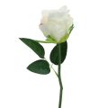 Keinotekoisia ruusuja nippuna valkoinen 30cm 8 kpl | Floristik24.fi