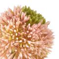 Floristik24 Keinotekoinen allium koristesipuli vaaleanpunainen vihreä Ø10cm L65cm