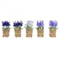 Floristik24 Keinotekoinen laventeli tekokukka laventeli juuttipussissa valkoinen/violetti/sininen 17cm 5kpl