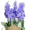 Floristik24 Keinotekoinen laventeli tekokukka laventeli juuttipussissa valkoinen/violetti/sininen 17cm 5kpl