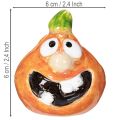 Koristeellinen kurpitsahahmo hauskaksi syyskoristeeksi, 6 cm, 2 kpl | Floristik24.fi