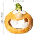 Kurpitsa-koristehahmo ja tuikkukuppi, hauska naama, syyskoriste, 12 cm, 2 kpl | Floristik24.fi