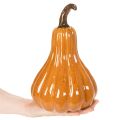 Keraaminen kurpitsa syksyinen pöytäkoriste 26cm | Floristik24.fi
