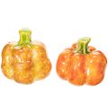 Floristik24 Koristeelliset kurpitsat syksyiseen pöytäkoristeeseen, 6 cm, 2 kpl