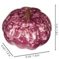 Minikurpitsakoristesetti, syksy- ja halloweenkoristeet, eri värejä, 4 cm, 24 palaa | Floristik24.fi