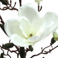 Floristik24 Keinotekoinen magnolia oksakreemi 90cm