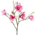 Floristik24 Magnolian tekokukkaoksa, magnolian pinkki pinkki 92cm