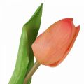 Floristik24 Tekokukka Tulip Peach Real Touch kevätkukka K21cm