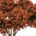 Floristik24 Tekokukat ruskeat koristekukat 4 kpl nipussa