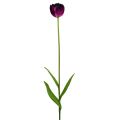 Floristik24 Keinotekoiset kukat tulppaanit violetti-vihreä 84cm - 85cm 3kpl