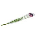 Floristik24 Keinotekoiset kukat tulppaanit violetti-vihreä 84cm - 85cm 3kpl