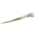 Floristik24 Keinotekoiset kukat tulppaanit täyttivät vanhan ruusun 84cm - 85cm 3kpl