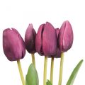 Floristik24 Tekokukat tulppaani violetti, kevätkukka 48cm 5kpl nippu