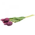 Floristik24 Tekokukat tulppaani violetti, kevätkukka 48cm 5kpl nippu