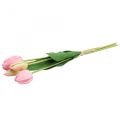 Floristik24 Tekokukat tulppaani pinkki, kevätkukka 48cm 5kpl nippu