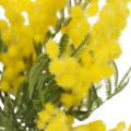 Floristik24 Keinotekoinen kasvi, hopeaakaasia, deco mimosa keltainen, 39cm 3kpl