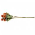 Floristik24 Keinotekoiset kasvit saflori ohdake oksa ohdake appelsiini 4kpl