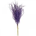 Floristik24 Keinotekoiset kasvit purppura kuiva ruoho keinotekoisesti parvettu 62cm 3kpl