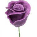 Floristik24 Keinotekoiset ruusut violetti vaha ruusut deco ruusut vaha Ø6cm 18p