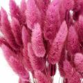 Floristik24 Lagurus kuivatun kanin hännän ruoho violetti 65-70cm 100g
