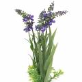 Floristik24 Keinotekoinen laventeliterttu ruohoilla 32cm
