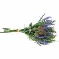 Floristik24 Yrttikimppu laventeli, rosmariini, ohdake 40cm