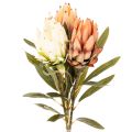 Floristik24 Keinotekoinen Protea Leucadendron -kukka pitkällä varrella, 65 cm, 3 kpl