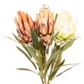 Keinotekoinen Protea