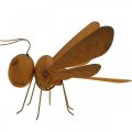 Koristeellinen sudenkorento, sänkykoristeet, puutarhafiguuri patina L28cm K21cm