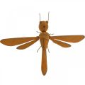 Koristeellinen sudenkorento, sänkykoristeet, puutarhafiguuri patina L28cm K21cm
