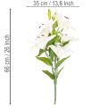 Tekoliljat, 6 valkoista kukkaa, realistinen kukkiva oksa, 66 cm | Floristik24.fi