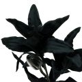 Floristik24 Keinotekoinen Kukka Lilja Musta 84cm