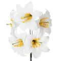 Floristik24 Tekoliljakukka, valkoinen, langalla, keskikokoinen, 35 cm, 5 kpl