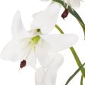Keinotekoinen valkoinen lilja pitkällä kukintahaaralla, koristeellinen, 80 cm | Floristik24.fi