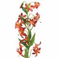 Floristik24 Lily oranssi 82cm