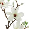 Floristik24 Magnolia Valkoinen 51cm 3kpl