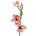 Floristik24 Magnolia keinotekoinen vaaleanpunainen 70cm