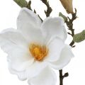 Floristik24 Magnolian valkoinen tekokukka silmuilla koristeellisella oksalla H40cm