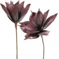 Floristik24 Tekokukka magnolia purppura vaahtomuovi kukka Ø10cm 6kpl