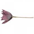 Floristik24 Tekokukka magnolia purppura vaahtomuovi kukka Ø10cm 6kpl