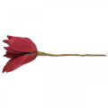 Floristik24 Keinotekoinen magnolia punainen tekokukka vaahto kukkakoristelu Ø10cm 6kpl