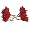 Floristik24 Keinotekoinen magnolia punainen tekokukka vaahto kukkakoristelu Ø10cm 6kpl