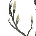 Floristik24 Spring Magnolia Branch Silppu Keinotekoinen Branch Ruskea Valkoinen L100cm